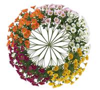 Générique Funsdecor Mums, Artificial Mums for Outdoors, Waterproof Windproof Fake Fall Flower Daisy Never Faded No Watering Pruning Cleanup-Bright & Full Like Real Thing (15PCS)