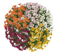 Générique Funsdecor Mums, Artificial Mums for Outdoors, Waterproof Windproof Fake Fall Flower Daisy Never Faded No Watering Pruning Cleanup-Bright & Full Like Real Thing (25PCS)
