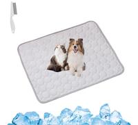 Générique Furry Basics Dog Cooling Mat, Furrybasics Coolingmat, Cool Dog Bed for Summer, Washable & Portable Pet Soft Pad, for Small Medium Large Dogs and Cat (Gray,19.7 * 15.7in)