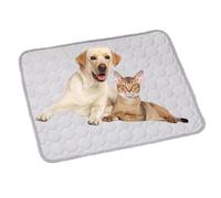 Générique Furry Basics Dog Cooling Mat, Furrybasics Coolingmat, Summer Indoor Dog Cooling Pad, Washable for Small Medium Large Dogs and Cat (Gray,Small)
