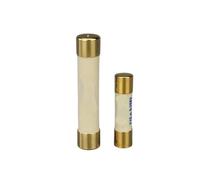 Générique Fusible en alliage plaqué or argenté for préampli audio, 5 x 20 mm, 6 x 32 mm, 0,5 A-15 A, fusible à fusion lente(5x20mm,10A)