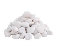 Générique Galets polis 10 kg Blanc 2-5 cm,Articles pour Animaux,Articles pour Animaux de Compagnie,Accessoires pour Poissons,Décorations pour Aquariums,Blanc,10.45 KG,155329