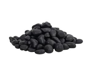 Générique Galets polis 10 kg Noir 2-5 cm Décorations pour Aquariums,155327