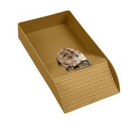 Générique Gamelle À Eau pour Tortue Bassin Bain Reptile avec Rampe