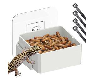 Générique Gamelle Alimentaire pour Gecko - Bol d'eau À Fixation Murale Alimentaire,Coupelle d'eau et Nourriture pour Gecko,pour Petits Animaux Iguane Léopard Dragon Barbu