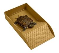 Générique Gamelle Eau Tortue Plat de Bronzage pour Reptile avec Rampe
