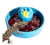 Générique Gamelle pour Tortue Terrestre Bac d'alimentation Stable | Gamelle Gecko Pour Tortues Terrestres Et Aquatiques, Lézards, Gecko Léopard, Serpent, Grenouille, Escargot,