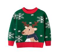 Générique Garçons Fille Unisexe Noël 3D Pull Enfants,Pull De Chaud Xmas Hauts Veste Hiver Noel Garcon 5 Ans Enfants Oiseau Renne Rétro Pullover Pull-Over Rigolo 2-7 (Vert#b,5-6 Ans)