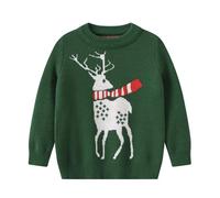 Générique Garçons Filles Noël Pull Tricoté Manches Longues,Rennes De Sweat Noel Enfant Enfant 10 Ans Enfants Oiseau Renne Rétro Pullover Pull-Over Très Moche 2-7 (Vert#B,5-6 Ans)