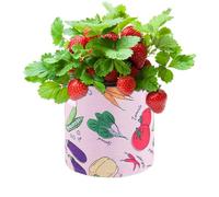 Générique Garden Grow Bags, Vegetables Growing Containers with Drainage, Thickened Vegetable Planter Bags for Garden, Cultivation Nursery Indoor Outdoor Balcony Patio Greenhouse