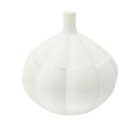 Générique Gardien d'Ail - Boîte Frigo Citron en Forme d'Ail,Boîte Étanche pour Conservation des Aliments Frais (Pommes de Terre, Gingembre, Oignons, Fromage, Épinards) Stockage au Frigo, Placard ou