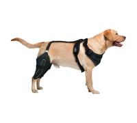 Générique Genouillère Chien | avec Stabilisateurs Métal Harnais Genou Ajustable - Manche Soutien Stabilisateur Patte Chien | pour Récupération Soin Plaies Prévention Lèchement
