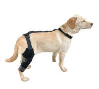 Générique Genouillère pour Chien - Manchon pour Patte Arrière De Chien - Genouillère Réglable avec Sangle de Soutien pour Rééducation et Faiblesse Musculaire