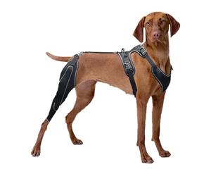 Générique Genouillère pour Chiens,avec Stabilisateurs Métal Harnais Genou Ajustable,Manchon De Protection Articulations Pattes Arrières - pour Récupération Soin Plaies Prévention Lèchement