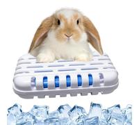 Générique Gerbil Cooling Mat | Long-Lasting Multifunctional Portable | Syrian Hamster Cooling Mat | for Hot Weather Chinchilla Small Animals Hedgehog Home Pet Store Cage