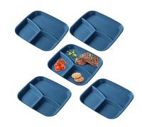 Générique Geteilte Teller für Erwachsene - 25cm 3-Fach Servierplatte | 5 Stück Mehrweg PP Speiseteller, für Portionskontrolle Meal Prep gesundes Essen und Salat spülmaschinenfest buntes Tablett Set