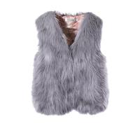 Générique Gilet Sans Manche Femme Gilet Polaire Court Femme Fausse Fourrure Manteau Col Debout Cardigan Hiver Petite Taille Laine Élégant Casual Mode Hiver Outerwear Veste en Laine(#04,XL)