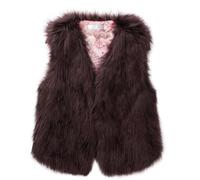 Générique Gilet Sans Manche Femme Gilet Polaire Court Femme Fausse Fourrure Manteau Col Debout Cardigan Hiver Petite Taille Laine Élégant Casual Mode Hiver Outerwear Veste en Laine(#03,L)