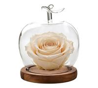 Générique Glass Dome Display - Decorative Clear Display Bell Jar | Fruit Shape Desktop Decoration, Dustproof Figure Cloche Glass Dome | For Collectors Office Shop Retail Store Wedding Jewelry