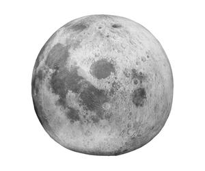 Générique Globe Hochet en Peluche pour Apprendre - Globe Lumineux pour avec Illustrations d'animaux Moon Animal en Peluche - 25,4 X 25,4 Cm, Jouet Éducatif Doux en Forme De Terre, Oreille