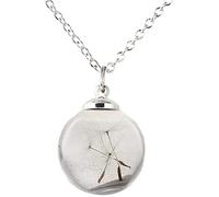 générique Glow in The Dark Collier de Pissenlit Boule de Verre de Pissenlit Pendentif chaîne collierPratique et ingénieux