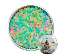 Générique Glow in The Dark Stones - 500pc Decorative Pebbles for Garden