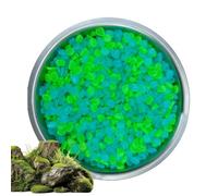 Générique Glow in The Dark Stones - 500pc Decorative Pebbles for Garden