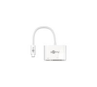 GENERIQUE goobay Adaptateur vidéo externe USB-C DVI blanc