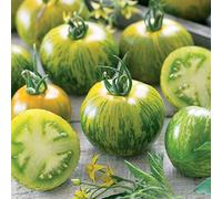 Générique graines de Tomate (Green Zebra) 50 graines