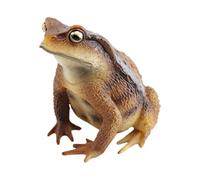 Générique Grenouille Réaliste Réaliste Éducative Mignonne Mini
