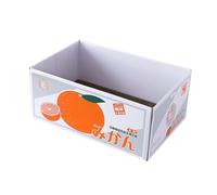 Générique Griffoir en Carton, Boîte à Herbe à Chat, Lit pour Aiguiser, Grand Bac à Chat, Tapis à Griffer en Carton Ondulé, Orange