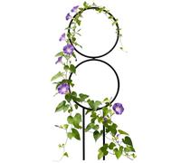 Générique Grilles pour en Pot - Support en Acier Adaptable, Treillis en, Support Vertical pour Végétation, Idéal pour L'intérieur Et L'extérieur (Maison, Mariage, Horticulture, Cultures, Lys, Pi