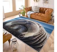 Générique Gros Plan sur Un Morse Animal Antidérapants Tapis Chambre Moderne 80x150 cm Gris Lavable en Machine Tapis Salon Doux à Poil Court Décoration Maison - Nettoyage Facile