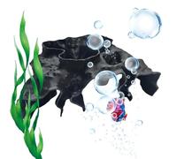 Générique Grotte de Reproduction pour Aquarium - Tunnel cachette réaliste de Betta | Cachettes décoratives pour bac à crevettes,pour débutant, bettas, Eau Douce, Refuge sous-, Repos, Maison