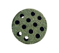 Générique Guinée Pig - 5,5-6cm Bunny Health, Pet Ennuid, Baking Timothy Hay Sticks Natural Timothy Bunny | Rabbit Chew Chinchillas Supplies pour Animaux de Compagnie