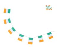 Générique Guirlande Résistants Irlandais Fanions Polyester Drapeaux de Décoloration, Décoration Simple et Colorée Fête Saint-patrick pour Intérieur