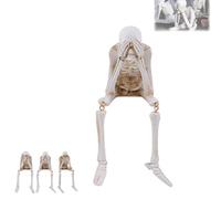 Générique Halloween Fireplace Simulation Skull Combination, Horror Skeleton Statues Resin Decor, See Speak Hear No Evil Skeleton Statues- for Home House Halloweens Party (Don't Look)