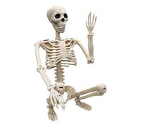 Générique Halloween Skeleton Decoration, Life Size Human Skeleton with Full Body Movable Posable Joints Skeleton, for Yard Haunted House Props Indoor Outdoor Decor
