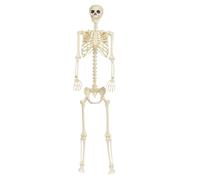 Générique Halloween Skeleton Decorations, Movable Full Body Skeleton Prop, Realistic Life Size Bones Figure, Compact Polymer Construction, Ideal for Outdoor, Yard, Graveyard, and Party Decor