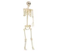 Générique Halloween Skeletons Decorations, Movable Realistic Full-Size Skeleton Decor, Strong and Weather-Resistant, Life-Like Design with Articulated Joints, Perfect for Outdoor Holiday Display