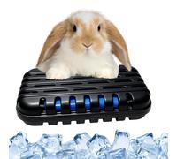 Générique Hamster Cooling Pad | Portable Long-Lasting Suspended | 4.72x3.14x1.96in Syrian Hamster Cooling Mat | for Summer Chinchilla Ferret Hedgehog Small Animals Home Cage Pet Store