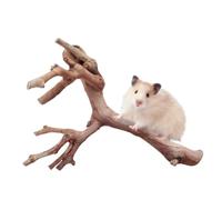 Générique Hamster Enrichment Toys - Natural Branch | Climbing Cage Decor | Natural Wooden Texture, Encourages Climbing & Exploration, Lightweight Habitat Accessory, Interactive Play Enrichment, for H