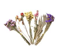 Générique Hamster Flower Bedding - Enrich Small Pet Comfort, Natural Decorative Blossom Design, Soft Fibre + Dust-Free Material, Eco-Friendly Certified Construction, for Gerbils & Indoor Habitats