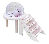 Générique Hamster Sand Bath Box -Transparent Small Animal Sand Container | Easy Maintenance Transparent Chinchilla Bathtub with Ladder - for Gerbil, Hedgehog, Grooming, Digging, Cage, Habitat Decor