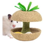 Générique Hamster Teething Toys, Fruit Shaped Small Animals Treats, Natural Chew Treat, Safe Wooden Gnawing Toy Set for Health, Cage, Playpen, Pet Corner, Habitat, Enclosure