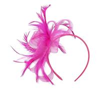 Générique Hat Headband, Retro Mesh Headpiece, Small Hair Accessories for Girls, Women, Daily Us, Afternoon Teas, Social Events, Costume, Fashion Red, Dark Red, Black, Navy Blue, Hot Pink