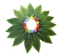 Générique Hawaiian Leis Set Grass Rock - Tropical Party Costume | Grass Rock Green Pour Les Adultes | Hawaiian Green Grass Jirt Perfect For Summer Party Festival Festival Carnival Dance Performance