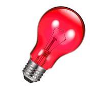 Générique Heat Lamp for Reptiles, 100W UVA Basking Light, Terrarium Heat Lamp for Chickens, Amphibians & Mammals, Pet Supplies for Bearded Dragons, Turtles, Lizards, Pigs, Indoor Enclosures