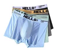 Générique Hello Mesh Mens Underwear, Breathable Mesh Man Underpants Male Thin Sexy Boxers 4PACK (B,L)