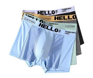 Générique Hello Mesh Mens Underwear, Breathable Mesh Man Underpants Male Thin Sexy Boxers 4PACK (B,L)